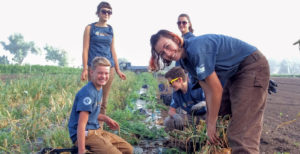 Larimer County Conservation Corps members looking at plants in a remote field