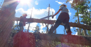 Rocky Mountain Youth Corps members cutting log while standing on another log