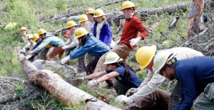 Southwest Four Corners Youth corps members moving large logs
