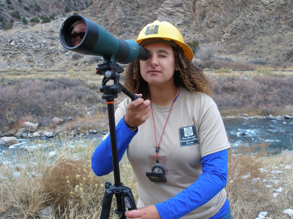 Internships and single-site placements - viewing through a telescope