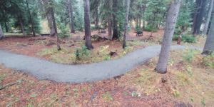 Oh Be Joyful Project - clean trail near a campsite