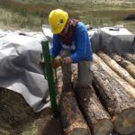 Sage Grouse Project - pile of logs for trail maintenance