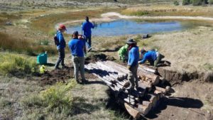 Sage Grouse Project - people standing beside logs for trail maintenance